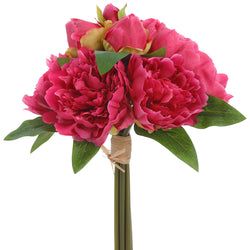 Options – Fuchsia