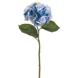 Soft Blue