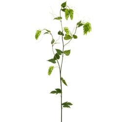 Options – Green