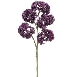 Options – Dark Purple