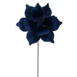 Midnight Blue