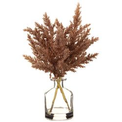 Options – Brown