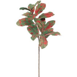 Green/Red