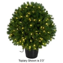 2'3" LED