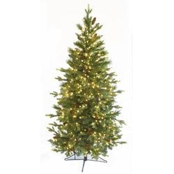 Options – 5' LED