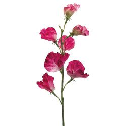 2 Tone Fuchsia