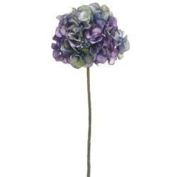 Purple/Green