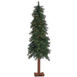 5' Lighted