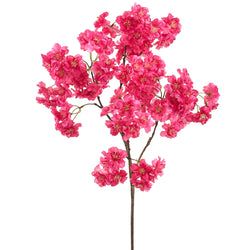 Beauty/Pink