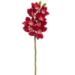 Options – Red