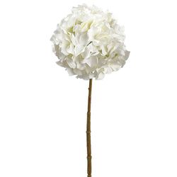 Options – White