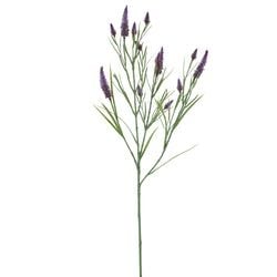 Options – Purple