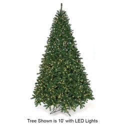 10' LED Lights