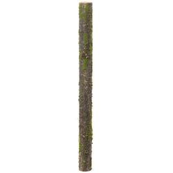 40"