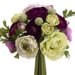 Purple/Green