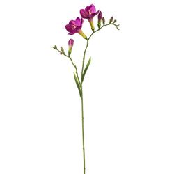 Options – Purple