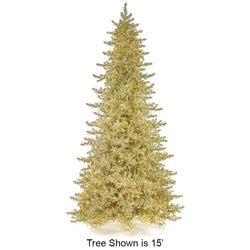 Options – 15' LED