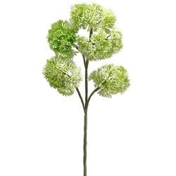 Options – Green
