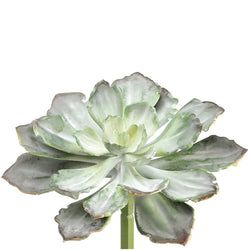 Options – Green/Gray