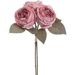 Options – 2-Tone Rose