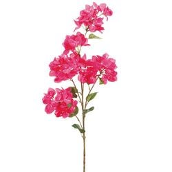 2 Tone Fuchsia