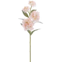 Options – Pink/Blush
