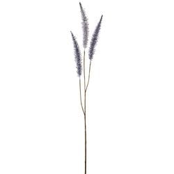 Options – Lavender