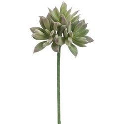 Green/Gray