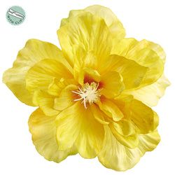 Yellow Deluxe