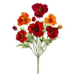 Red/Orange