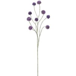 Options – Purple