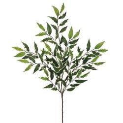 Variegated