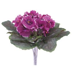 Options – Boysenberry