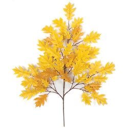 Options – Gold - Fire Rated