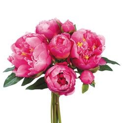 Dark Pink