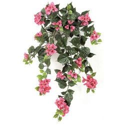 Fuchsia Fire Rated
