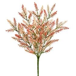 2 Tone Coral