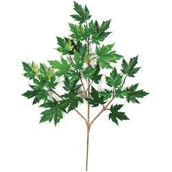 Green - Fire Rated
