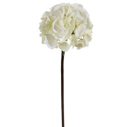 2 Tone Ivory