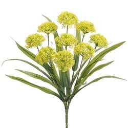 Options – Yellow