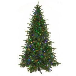 Options – 7'6" LED Multi-Mode