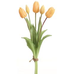 Soft Yellow