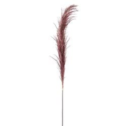 Options – Mauve