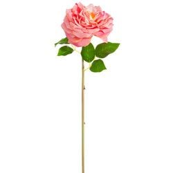2 Tone Rose
