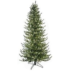 Options – 9' LED