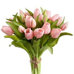 Options – Pink
