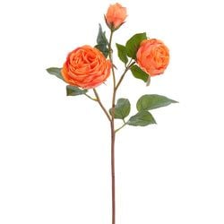 Options – Orange