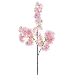 Options – Pink