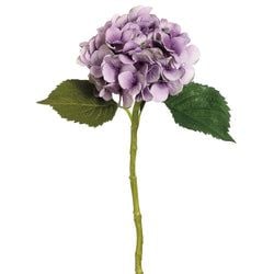 Antique Lavender