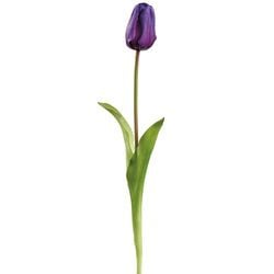 Options – Purple